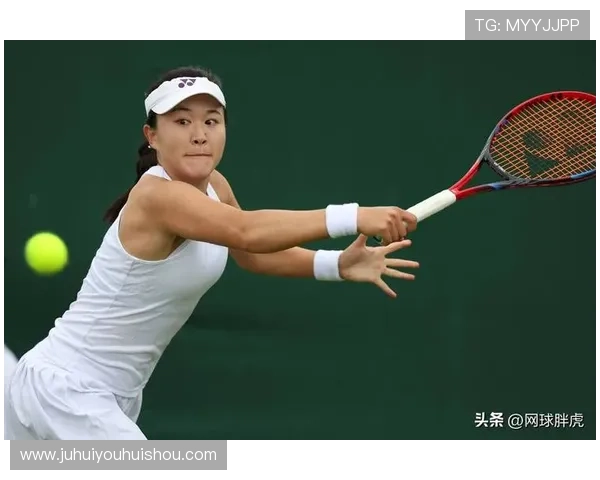 网球赛季高潮即将到来 明星选手们准备在年终大赛一决高下